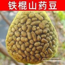 �F��ɽș���Ǻ��Jɽș3���rɽș���½��̖20245���Ͻ������r�궹