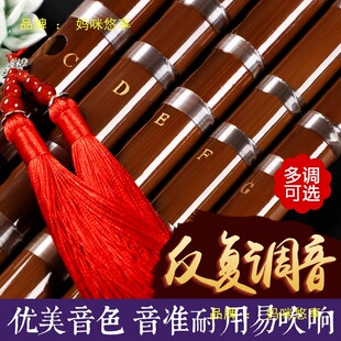 �߼����T���I��E����������ѳ��W�M����С��B��ͯ�{��A��������