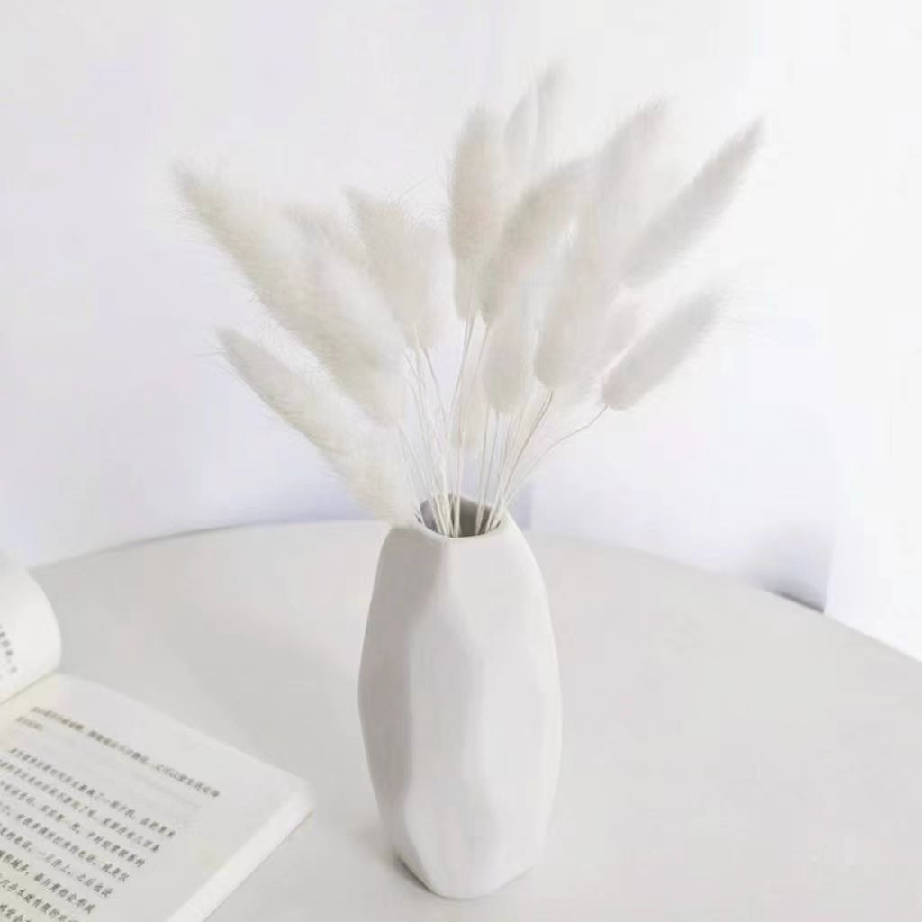 흰토끼꼬리풀 60개 묶음