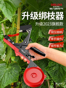 ���������ѽ�֦�C�¿֦������֦��֦���ѽ�����֦���t�����F��