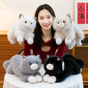 �羳������в�ż؈��żë�q��ߴ���С؈�乫�Ѓ�ͯ����Ů�ѶY��