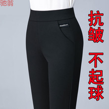 C3M长裤女直简裤松紧腰女裤高腰显瘦外穿简约时尚百搭显瘦弹力休