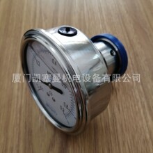 布莱迪，压力表 卫生级压力表