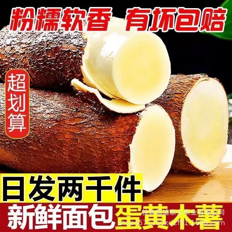 广西特产黄心木薯新鲜现挖黄肉面包木薯羹糖水店同款可批发