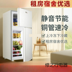 志高小冰箱二人用家用小型出租房宿舍用迷你双门电冰箱海尓