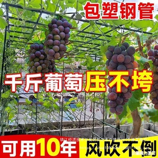 �Ӡ������ټܽz���S�����Ѽ�ͥԺ���ټܑ����Ϲ���ܰ������