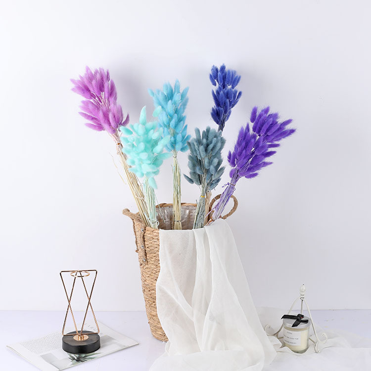 La flor eterna de la flor de la cola de conejo hierba seca 60 piezas al por mayor Dogtail hierba seca ramo de flores decoración DIY conejo hierba de la cola