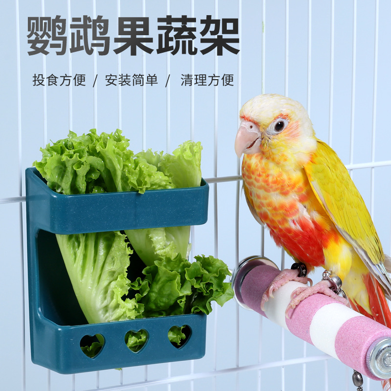 蘆丁雞蔬菜架餵水器餵雞食槽造景用品蘆丁雞餵食器雛雞飼養用品