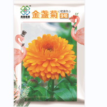 N繫˾ֱطNֲܷNӾջN K9̖Sɫ