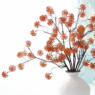 ���滨�ɻ�֦ϲ������W�L�Ҿ��bٻ��͏d�[����c�廨��֦���