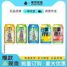 华洋汽水1982整箱果味碳酸饮料330ml*24罐老广州风味烧烤搭档