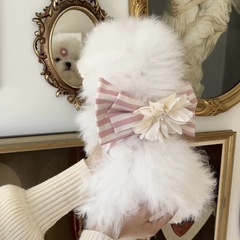 Ins pink striped breathable harness and back strap set Teddy Bear Dog Dog Outdoor Leash Wholesale Pet