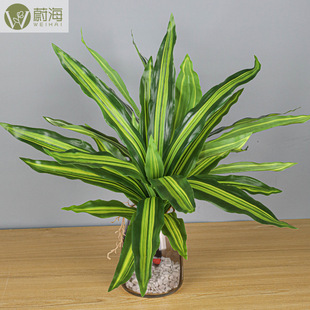 ����18�~���������F�Gֲ�b�ܛ�b�쾰�Gֲ�辰��������F�~�쾰