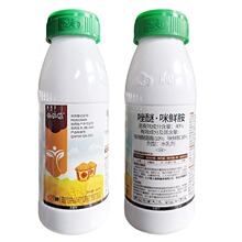 40%�������r��̿�Ҳ����Ú��������ٌ���ș��Ʒ�rș�F؛���l