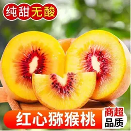 番薯类;橙;块茎类