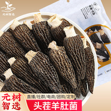 云南羊肚菌干货菌菇汤包土特产野生菌菇类煲汤料产地批发头茬新货