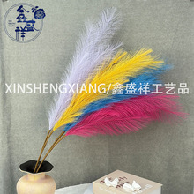 7����ë��ȸ�ݷ����̻�װ�μ���ë�쾰�ٻ�������첼������
