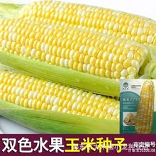 꿺721pɫˮ׷NӸ߮aϱ״ļN