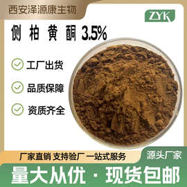 源头工厂 侧柏黄酮3.5% 侧柏叶提取物 保健品食品原料 现货1kg/袋