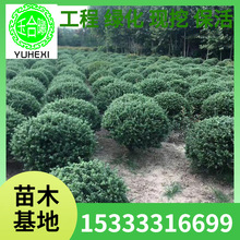 ���ع�����ľ���������׶������ձ��������׶�����G����Ҏ���Rȫ