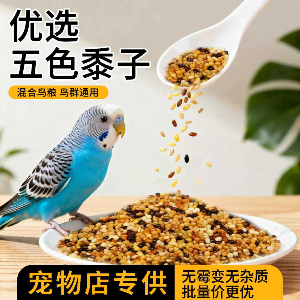 优选鸟粮五色黍子虎皮牡丹玄凤中小型鹦鹉粮饲料混合谷子鸟食鸟用