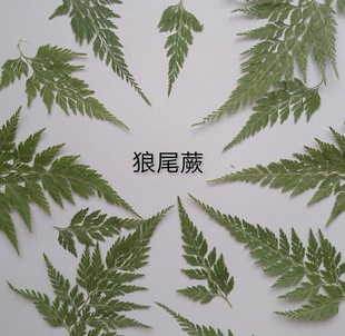 ��βާѺ���ɻ����lֲ��˱����~�N�������֙C�������׃��ֹ�����