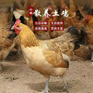 ������ĸ�u�r��ɢ�B���r�F���r���u���u�ߵ��u���_���u�S����ĸ�u