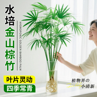 ˮ���ɽ�����҃���������ֲ��͏d�k������լ����Gֲ��λ���B��