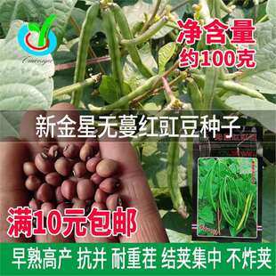 �½��ǟo���t�����N�� �ˈ@ͥԺ���������N�� �ض�������߲˷N��