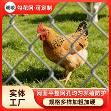 ����\�����W߅�¾G�����o�BֳȦ�؇��ھW�����F�z�W�u���ZȦ�ؾW
