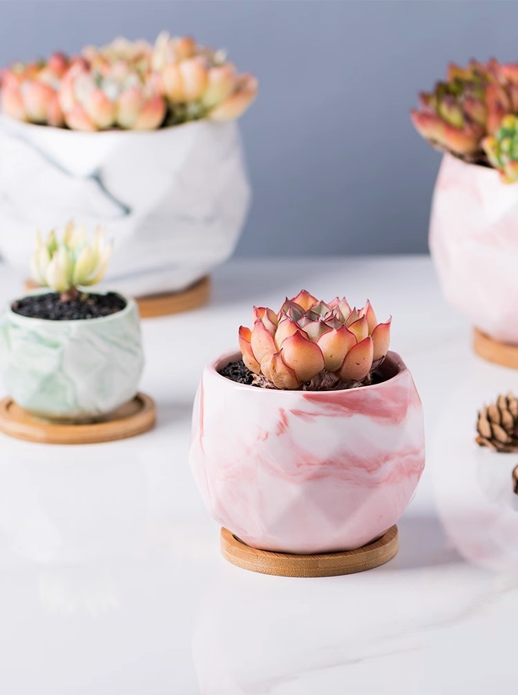 20c602a8-8bcf-40cd-a67f-5f73aadb75fa.jpe