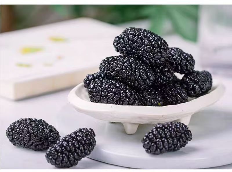 Dried Mulberry Fruit Sang Shen Zi 180g Jar Ready to Eat Snack for Daily Herbal Tea and Wellness preparation
