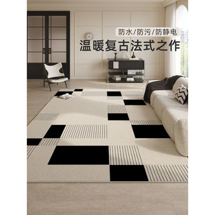 Carpet Living Room 2025 New Style No-Wash Wipeable Accessible Luxury High-End No-Maintenance Sofa Waterproof Bedroom Bedside Floor Mat