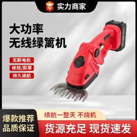 手电钻;电动吹风机;篱笆剪