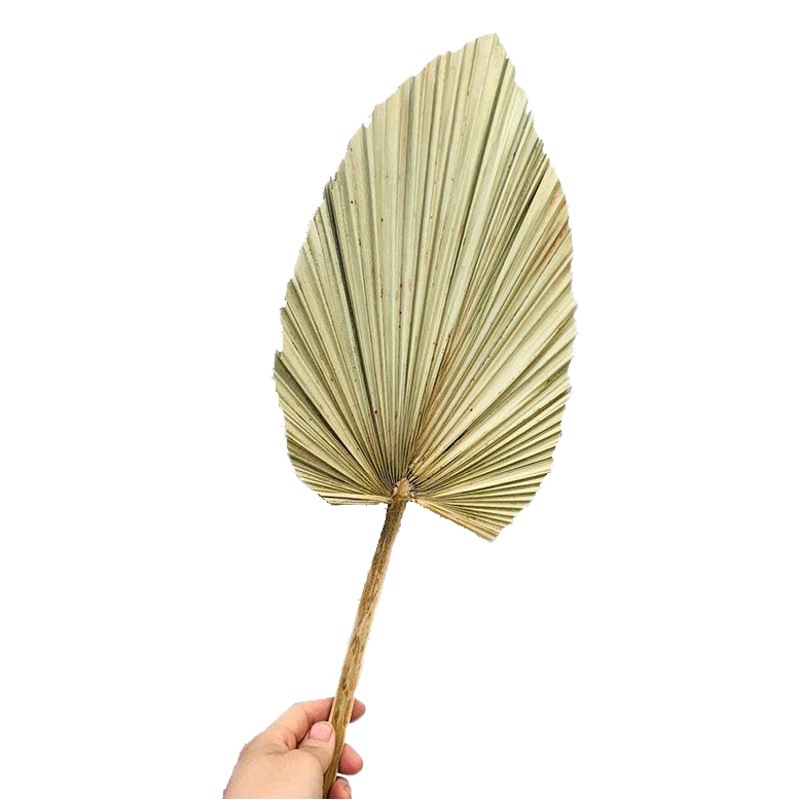 Pu fan hoja girasol fan hoja grande flor seca hoja de palma ventana vino fiesta arte colgante de pared decoración boda Arco de la boda diseño