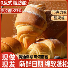 �S�ͱ��{������̺��}֥ʿ�A��ţ�ǰ��������W�������������ʳ