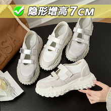 С��3233�����ߺ��ħ����������ŮЬ�ļ�͸������С�����ϵ�ЬŮ