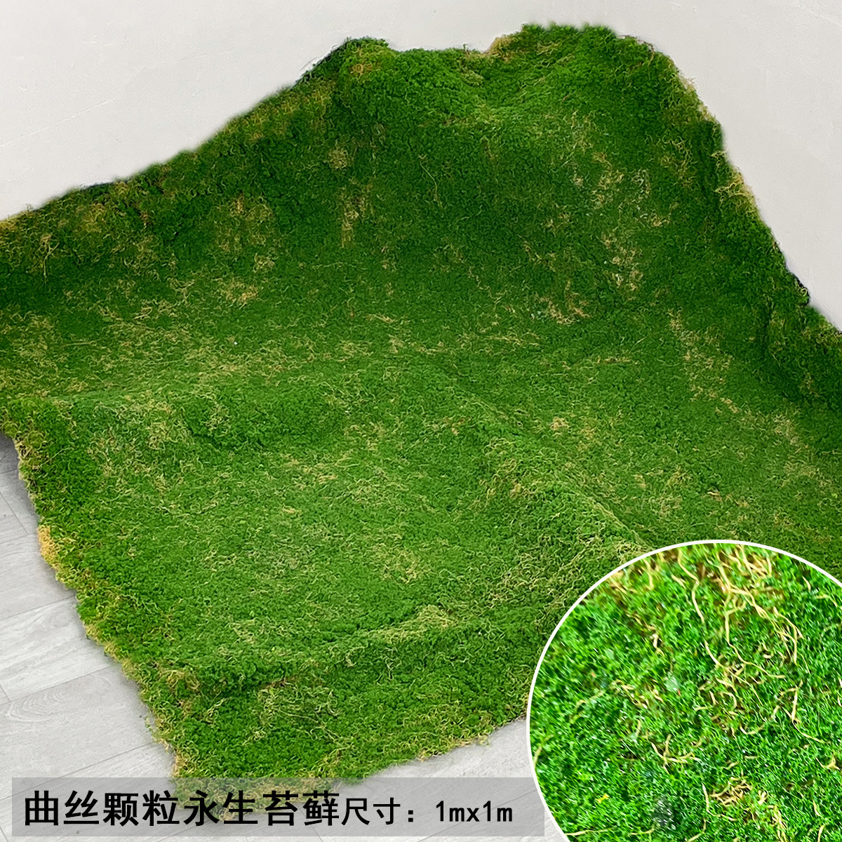 曲丝颗粒永生苔藓