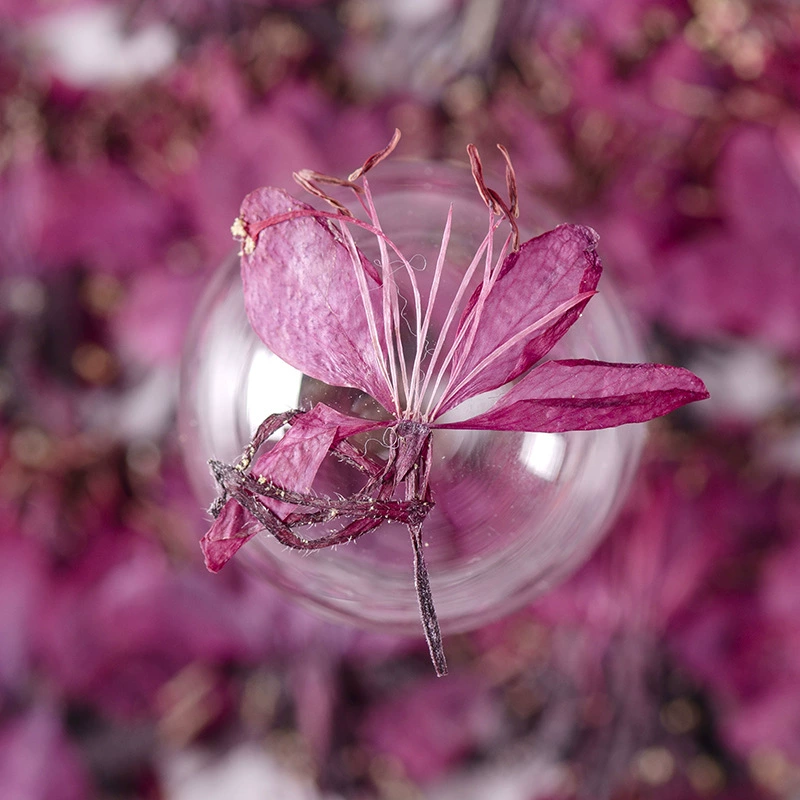 Гикори трава сушеный цветок хлеб DIY тисненая Закладка гель падение сушеный цветок оболочка мобильного телефона завод образец цветок для лица