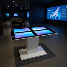 21.5簲׿cp@ʾܲһwCk|ʘ