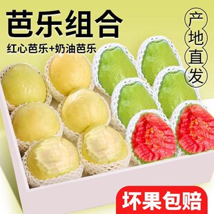 ���ڏV�����ļt�����ͱ���ܰŘ�ܛ��ܛŴ�pƴ�Ř����r��ʯ�����