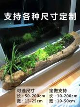 ��ľ��ľ�۾W������ľ�����L�������ľ���÷������b�ͥԺ�����