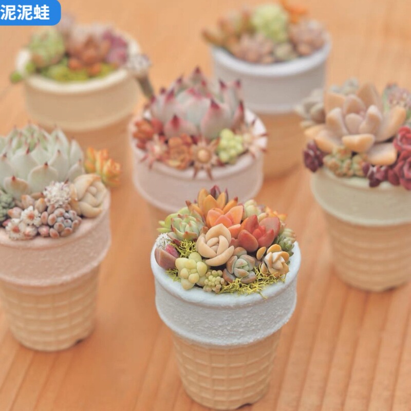 Succulent Flower Pot Plain-fired Coarse Pottery Cone Pot Macaron Frosted Controlled Pot Meat Cone Breathable Permeable Ceramic Thumb Basin