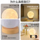 [Yan Selected] Moon Decorative Table Lamp Girl Creative Gift Atmosphere Lamp Romantic Bedroom Warm Charging Nightlight
