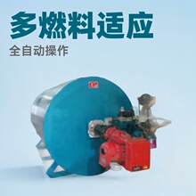 厂家直销工业燃气热风炉全自动烘干养殖取暖锅炉燃油电加热燃煤