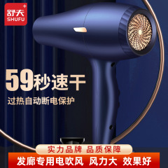 ヘアサロン家庭用ヘアドライヤー強風冷温速乾恒温ヘアケアヘアドライヤーヘアサロンハイパワーヘアドライヤー