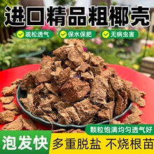 �M�ڴ��w��ɢ�bÓ�}��Ҭ��Ҭ��Ҭ�u͸��Nֲ�I�B�����ݰl�m��ֲ��