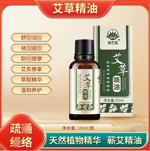 Mugwort Ginger Massage Essential Oil Whole Body Tonge Meridians Body Scraping No-Wash Lubrication Moisturizing Belly Open Back Massage Oil
