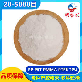 20-1000目PP PET粉末PMMA 聚酯粉PEEK TPU粉料 500目