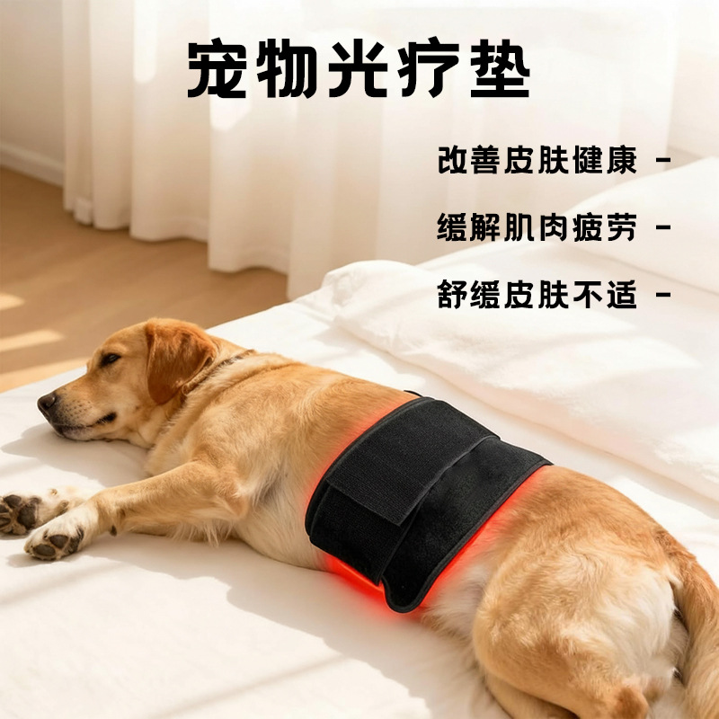 120 perlas cinturón de fisioterapia de luz roja infrarroja para mascotas cinturón de fisioterapia de luz roja infrarroja para gatos y perros luz asada para ayudar a acondicionar el cinturón de protección de luz infrarroja